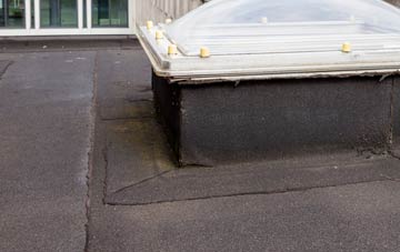 disadvantages of Newton Tracey flat roofs