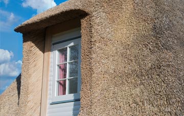 Newton Tracey thatch roof disadvantages