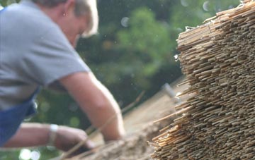 professional Newton Tracey thatchers